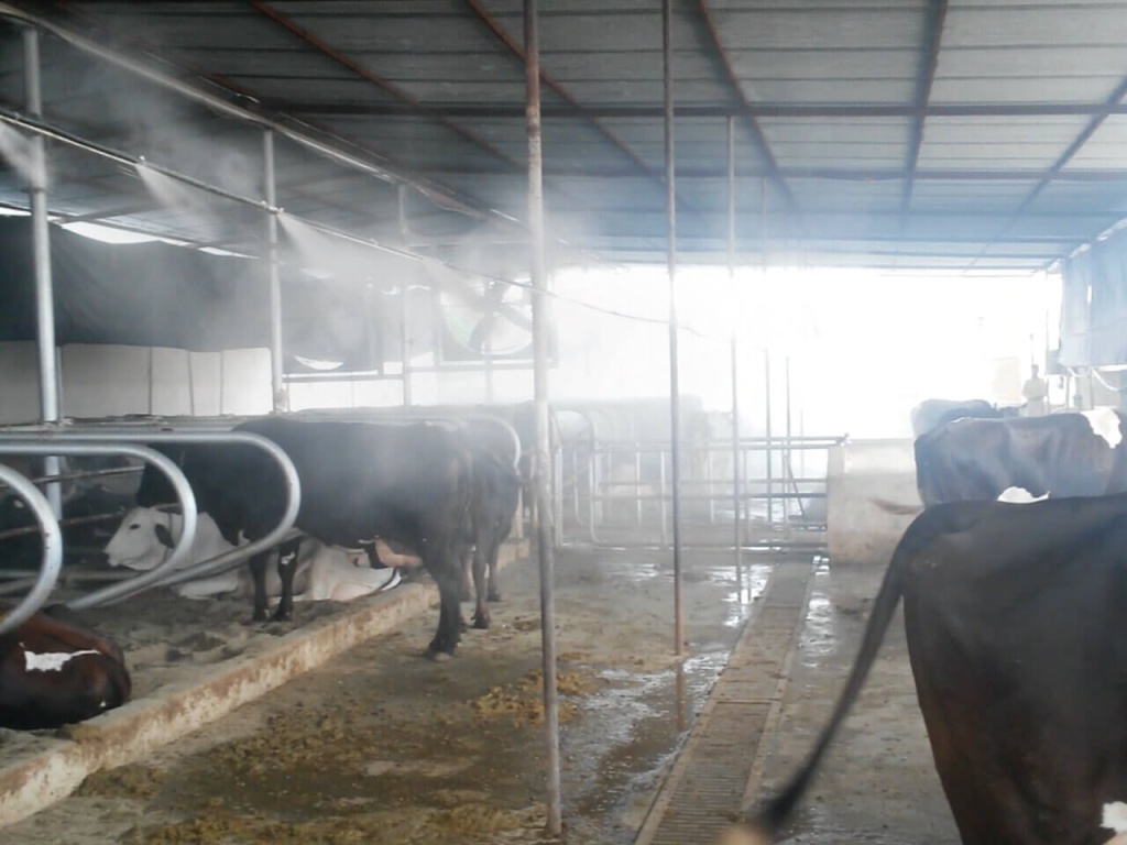 система туманообразования на ферме